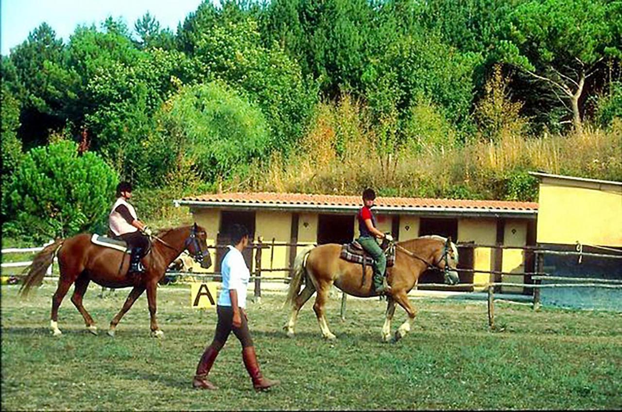 Hotel Toscana Wellness Arcidosso